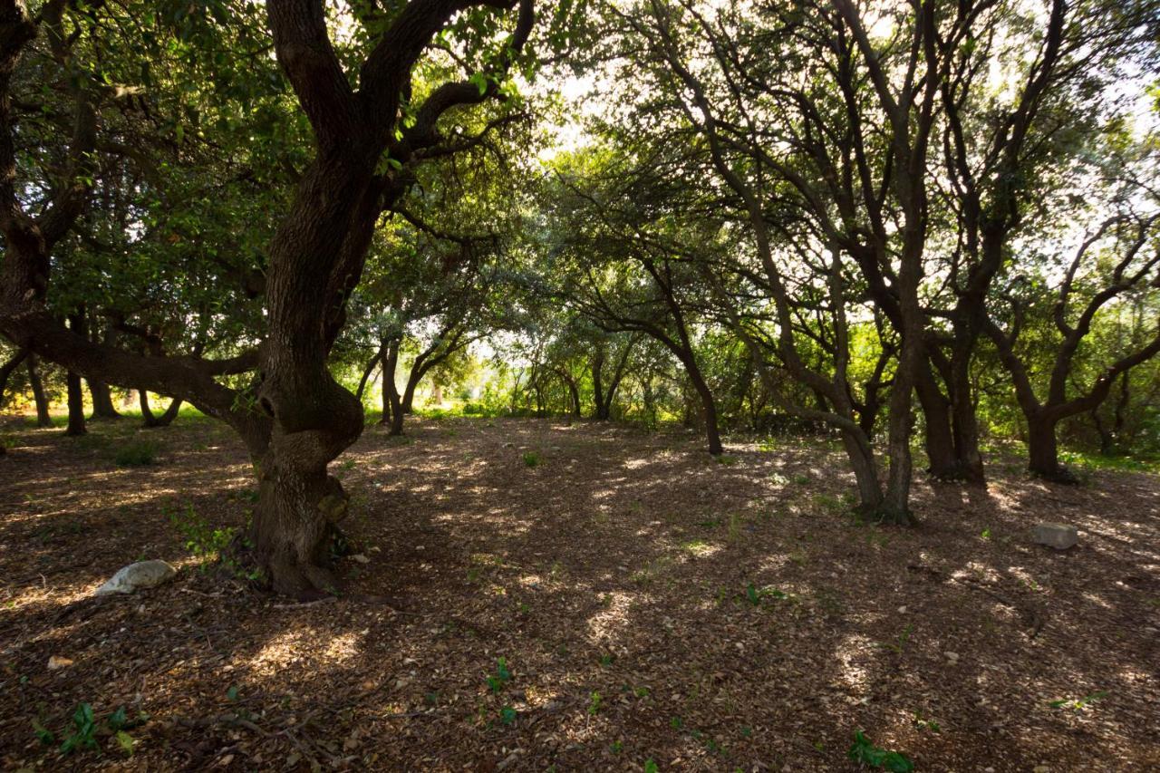Masseria Poli Country House Конверсано Екстер'єр фото