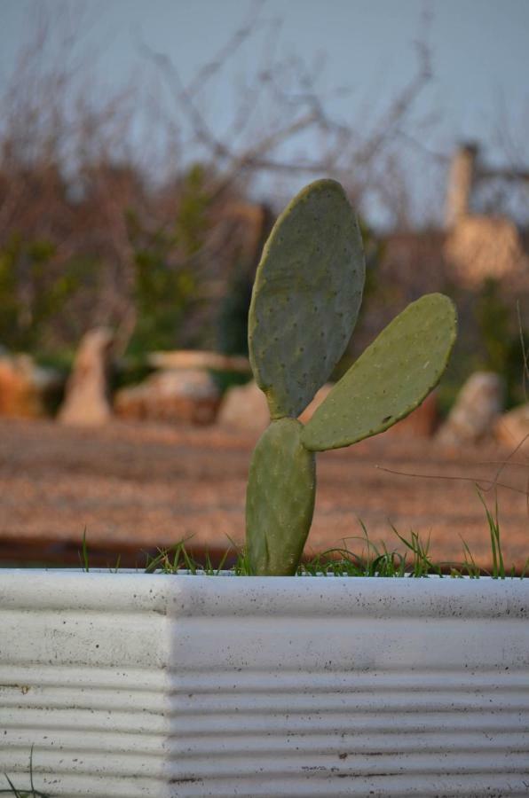 Masseria Poli Country House Конверсано Екстер'єр фото